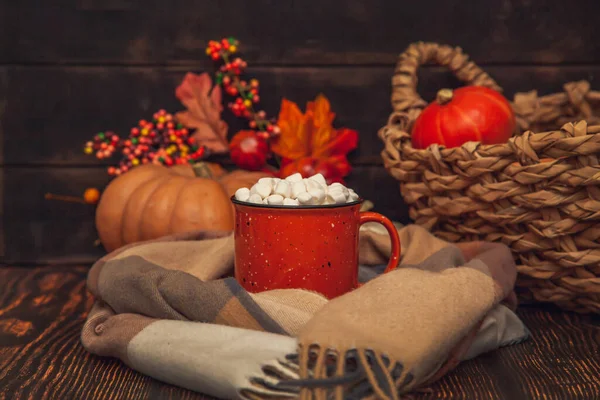 Herfst Stilleven Een Houten Achtergrond Met Cacao Mok Marshmallows Geruite — Stockfoto