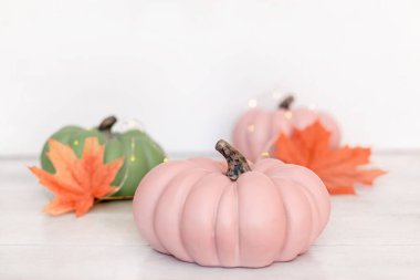 Pembe ve yeşil balkabaklarıyla sonbahar arkaplanı ve açık arkaplanda pastel gölgelerde yapraklar.