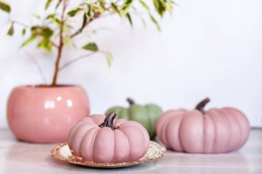 Pembe ve yeşil balkabaklarıyla sonbahar arkaplanı ve açık arkaplanda pastel gölgelerde ficus benjamina.