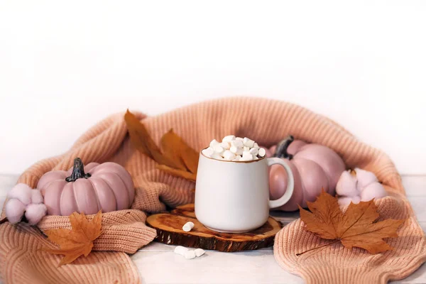 Herfst Stilleven Lichte Houten Achtergrond Met Cacao Mok Marshmallows Roze — Stockfoto