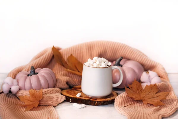 Herfst Stilleven Lichte Houten Achtergrond Met Cacao Mok Marshmallows Roze — Stockfoto