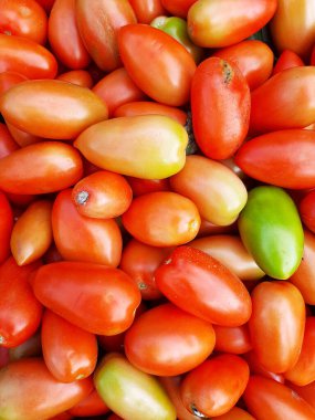 Kırmızı ve yeşil domatesler. Hasat, yaz sebzeleri.