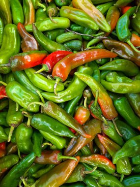 Taze acı biber. Hasat et. Yaz sebzeleri