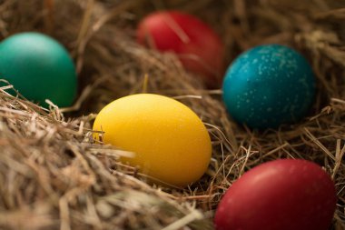 Saman içinde doğal boyalarla boyanmış renkli paskalya yumurtaları. Ön manzara. Paskalya Konsepti. 
