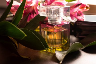 Bitkiler ve çiçeklerle çevrili renkli camlardan yapılmış bir parfüm şişesi.. 