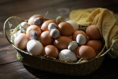 Paskalya israfı. Tavuk ve bıldırcın yumurtaları ahşap bir masada sepetin içinde. Paskalya 'nın sıcak dini bayramı, çevre dostu dekor kavramı. Çiftlik ürünleri