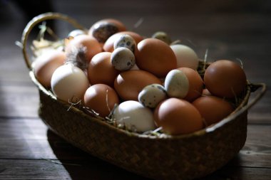 Paskalya israfı. Tavuk ve bıldırcın yumurtaları ahşap bir masada sepetin içinde. Paskalya 'nın sıcak dini bayramı, çevre dostu dekor kavramı. Çiftlik ürünleri