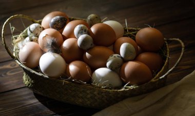 Paskalya israfı. Tavuk ve bıldırcın yumurtaları ahşap bir masada sepetin içinde. Paskalya 'nın sıcak dini bayramı, çevre dostu dekor kavramı. Çiftlik ürünleri