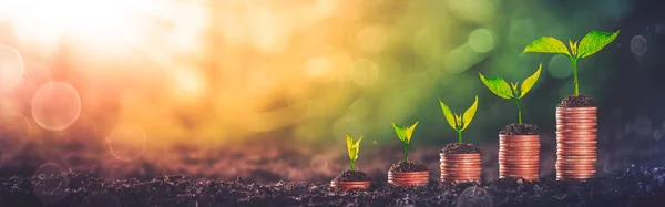 Pénzérmékből Növekvő Növények Befektetési Koncepció — Stock Fotó