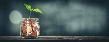 Plant Growing Out Jar Of Coins On Wooden Table - Investment Growth Concept clipart