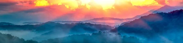 Панорамный Вид Национальный Парк Великие Смоки Маунтинс Туманом Соснами Сумерках — стоковое фото