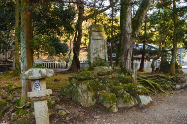 Nara, Japonya - 15 Aralık 2016: Japonya 'nın Nara Parkı' ndaki Tamukeyama Hachimangu Tapınağı yakınlarındaki Japon taş fener grubunun görüntüsü.
