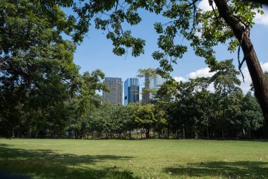 Bangkok, Tayland - 16 Kasım 2019: Vachirabenjatas Parkı veya Suan Rot Fai Parkı, Bangkok, Tayland 'daki yeşil doğal ve modern yapı şehirleri arasında iyi bir kombinasyon ve uyum. 