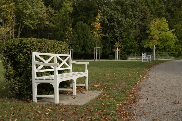Blick Auf Weiße Patio Holzbank Grünen Parkgarten Der Herbstsaison Mit — Stockfoto