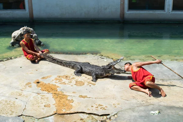 Samutprakarn Tailândia Janeiro 2017 Crocodilo Mostrar Homem Colocou Cabeça Boca — Fotografia de Stock
