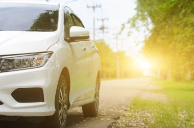 White car in the park road