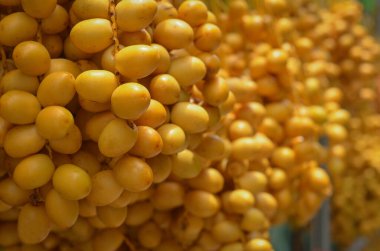 Hurma ağacından taze, sarı bir meyve.