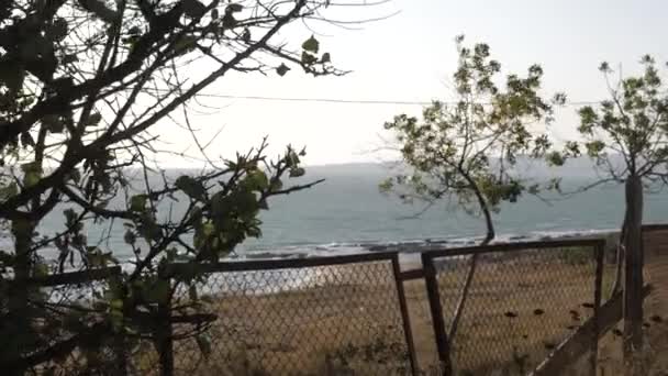 Breeze waves small trees near broken fence against blue sea — Stock Video