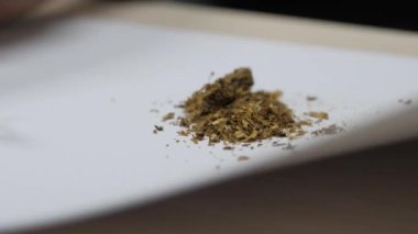 İnsan elleri kırık sigaradan kahverengi tütün atar