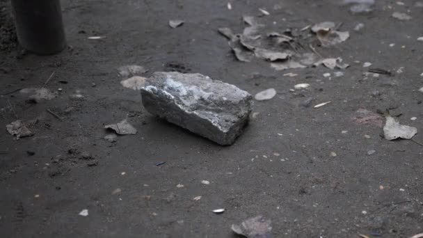 Osoba ruka vezme velkou šedou skálu z asfaltu chodníku — Stock video