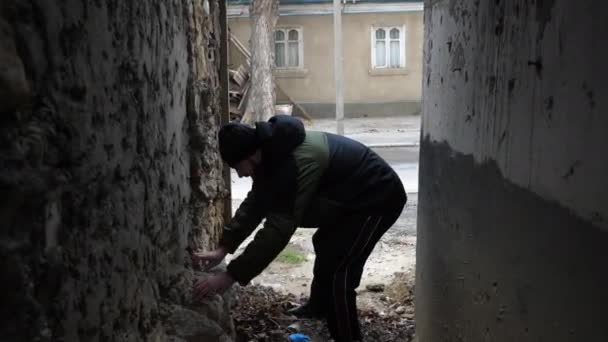 Angsthase sucht Drogenspürhund in altem Hauswand-Riss — Stockvideo