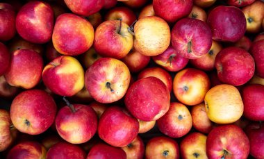 Bir sürü yeşil ve kırmızı elma kutularda..