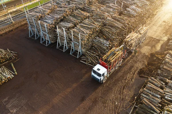 A truck loaded with logs at a wood processing factory.