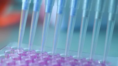 Tıbbi bir laboratuarda yakın plan numune almak..