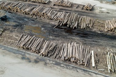 Marangozluk şirketinin üst görünümündeki bir depo..