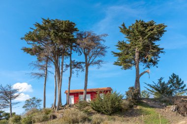 Red house with tall cypress trees facing the sea, taken on sunny winter day on Oleron Island, Charente, France