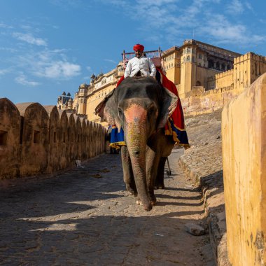 Amer, India - December 29, 2025: One single elephant is going down a slope from Amber fort, leaded by its guardian. Taken on a sunny winter day, with no other people.