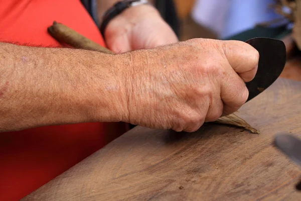 Mann stellt Zigarren von Hand her — Stockfoto