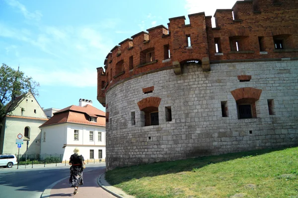 El castillo gótico de Wawel en Cracovia en Polonia fue construido desde 1333 hasta 1370 —  Fotos de Stock
