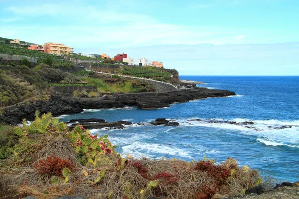 Costa de la isla La Palma — Foto de Stock