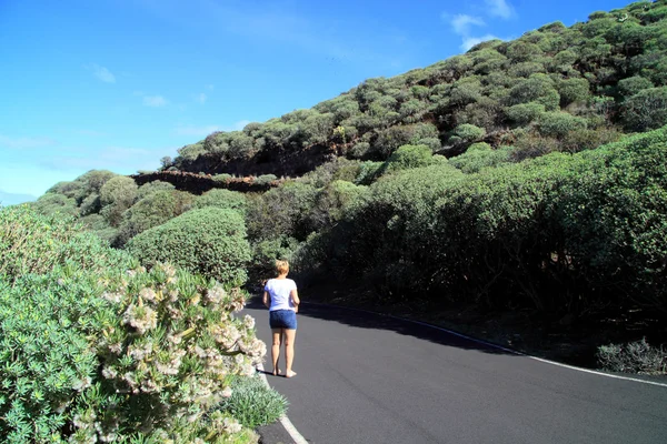 La Palma üzerinde benzersiz bitkiler ile özel peyzaj — Stok fotoğraf