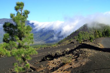 Milli Parkı Caldera de Taburiente La Palma