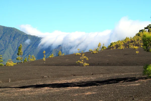 Nubes arrastrándose contra la pared del volcán — Foto de Stock