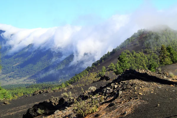 Nationalparken Caldera de Taburiente i La Palma — Stockfoto