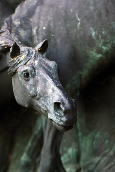 Bronshästen — Stockfoto