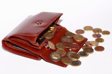 euro para ile cüzdan