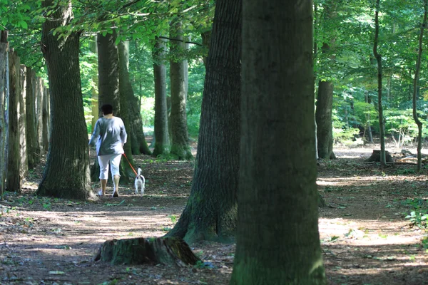 Une femme marchant avec le chien — Photo