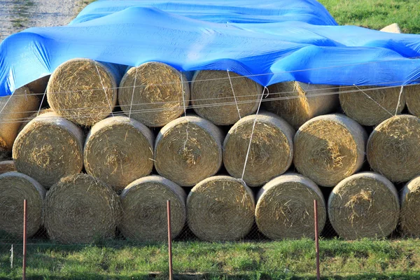 Hay bales Stock Photo