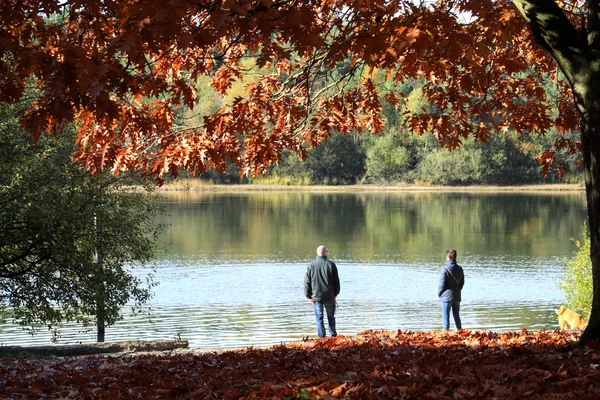 Mensen op het water genieten van het uitzicht in de herfst — Stockfoto