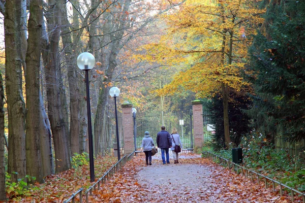 秋天在公园散步 — 图库照片