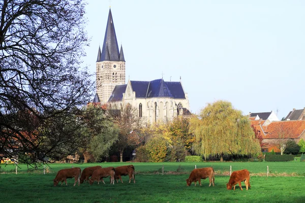 St. Michael Church kilise Hollanda — Stok fotoğraf