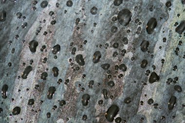 Damla ve yoğunlaşma penceresinde