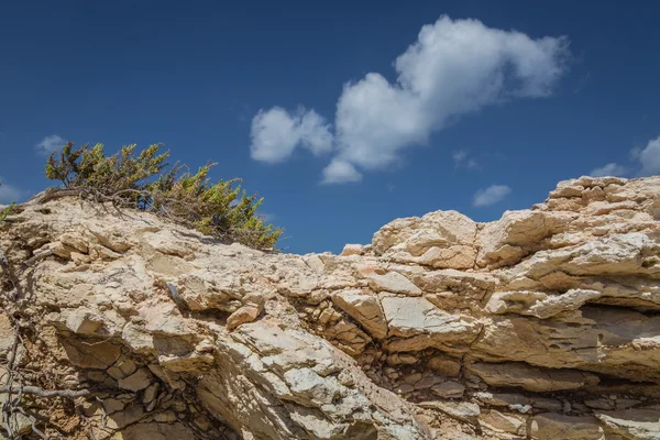 Costa rocciosa formata da sedimenti sabbiosi . — Foto Stock