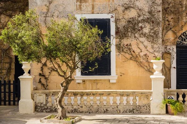 The beautiful architecture of the medieval city Mdina. — Stock Fotó