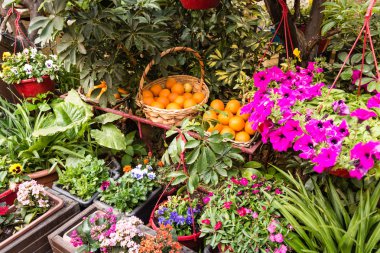 Mdina, Malta'da çay salonu