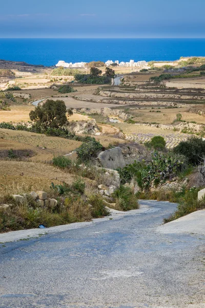 Terreno pedregoso en Malta — Foto de Stock